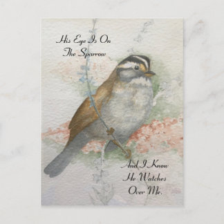 Postal Cita de la Biblia de Sparrow