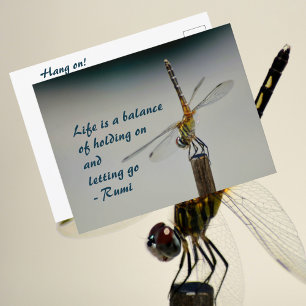 Postal Cita de la Vida es un Equilibrio Libélula Fotográf