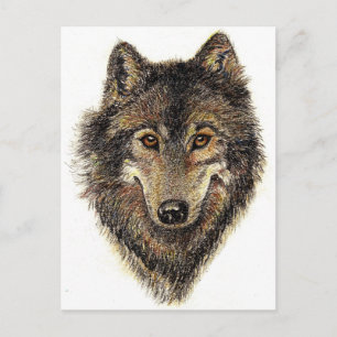 Postal Cita de lobo y paquete - Colección de animales