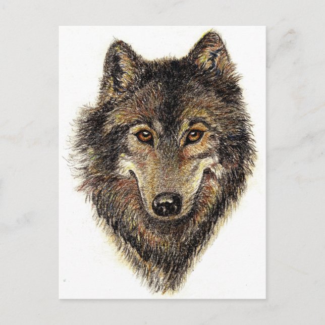 Postal Cita de lobo y paquete - Colección de animales (Anverso)