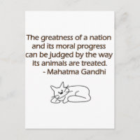 Cita de los animales de Gandhi con el gato