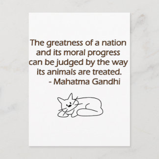 Postal Cita de los animales de Gandhi con el gato
