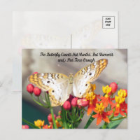Cita de mariposa de pavo blanco