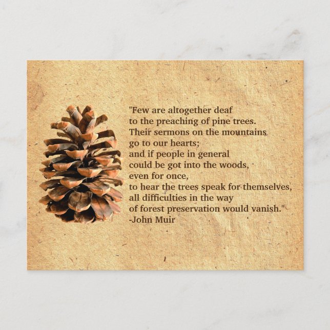 Postal Cita De Pine Cone Y John Muir (Anverso)