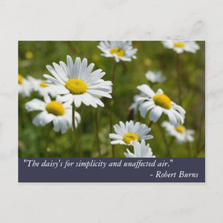Postal Cita de Robert Burns Daisy