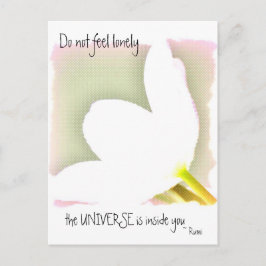 Postal Cita De Tulip Rumi Dotada