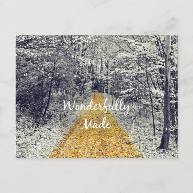 Postal Cita de versículo bíblico maravillosamente creada (Anverso)