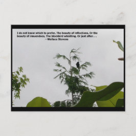 Postal Cita de Wallace Stevens
