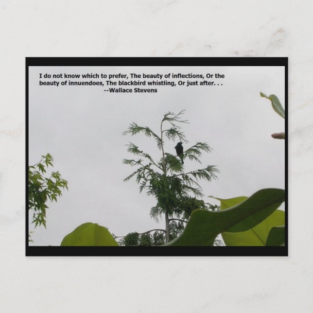 Postal Cita de Wallace Stevens (Anverso)