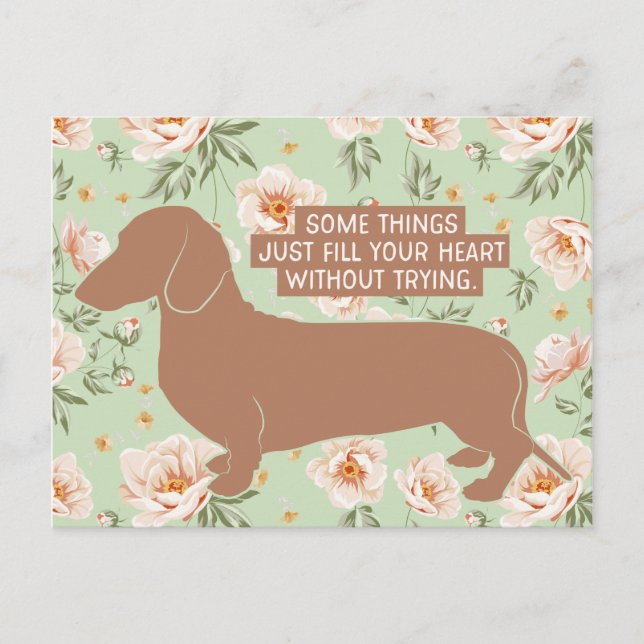 Postal Cita del Ilustracion Dachshund Doxie Teckel Lover (Anverso)