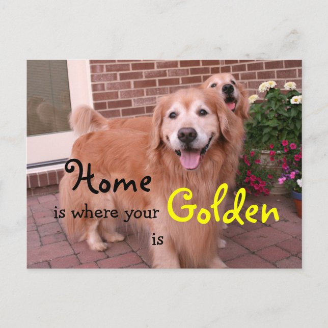 Postal Cita inicial de Golden Retriever (Anverso)