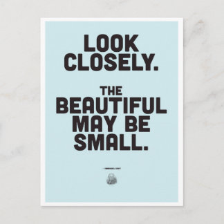 Postal Cita Inspiradora de Immanuel Kant