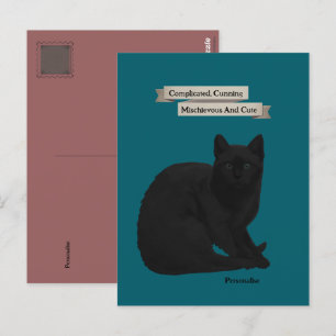 Postal Cita Misteriosa Gata Negra Teal Rosa Personalizada