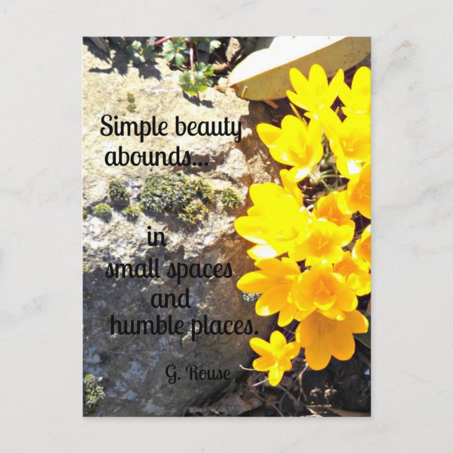Postal Cita para encontrar belleza por todas partes. (Anverso)