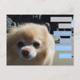 Postal Citas de Winnie