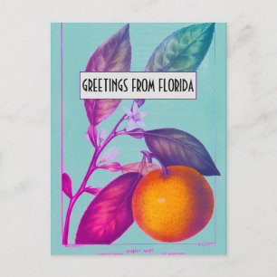 Postal Citrus de Florida