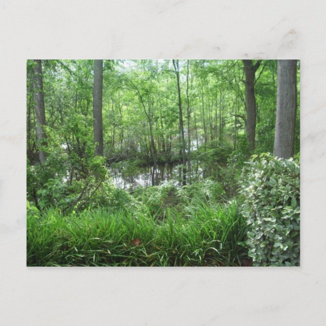 POSTAL "CIUDAD DE LOS TRES PAZ, GA" (Anverso)