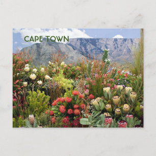 Postal Ciudad del Cabo: Exhibición floral de Sudáfrica, f
