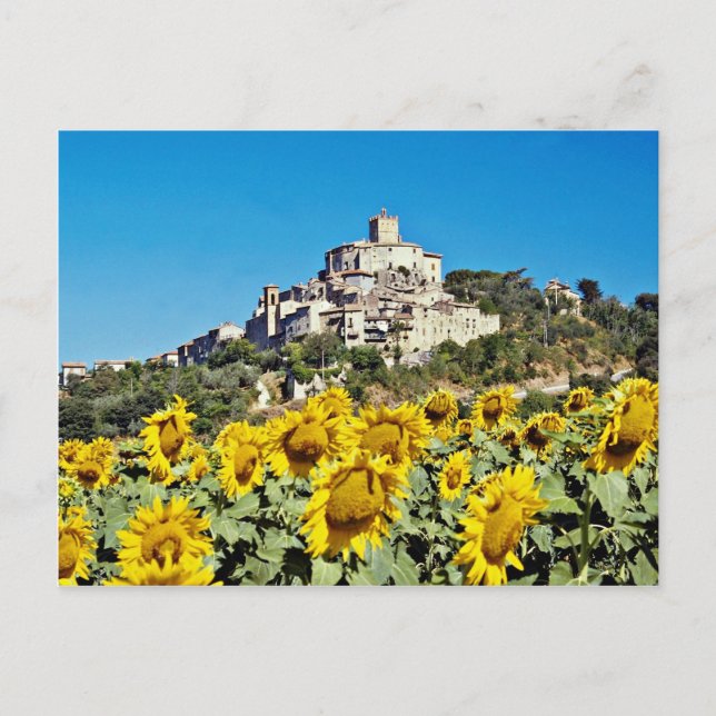 Postal Ciudad montañosa de Narni, Umbría, flores de Itali (Anverso)