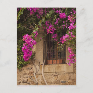 Postal Ciudad Monumental, edificios floridos