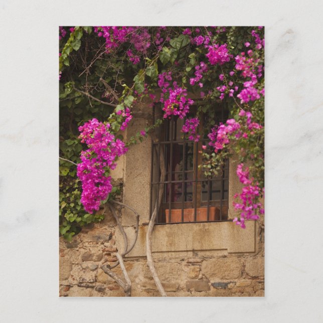 Postal Ciudad Monumental, edificios floridos (Anverso)