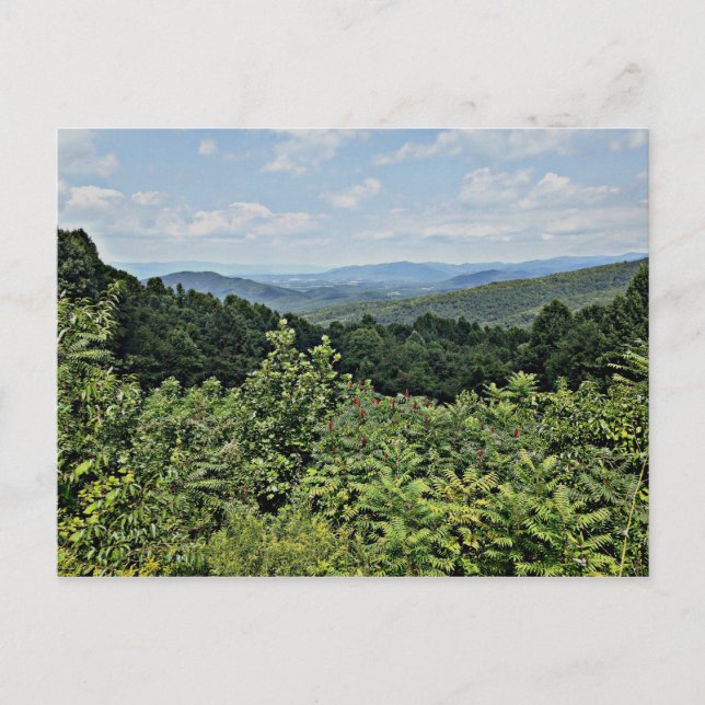 Postal Clair - Parque Nacional Shenandoah (Anverso)