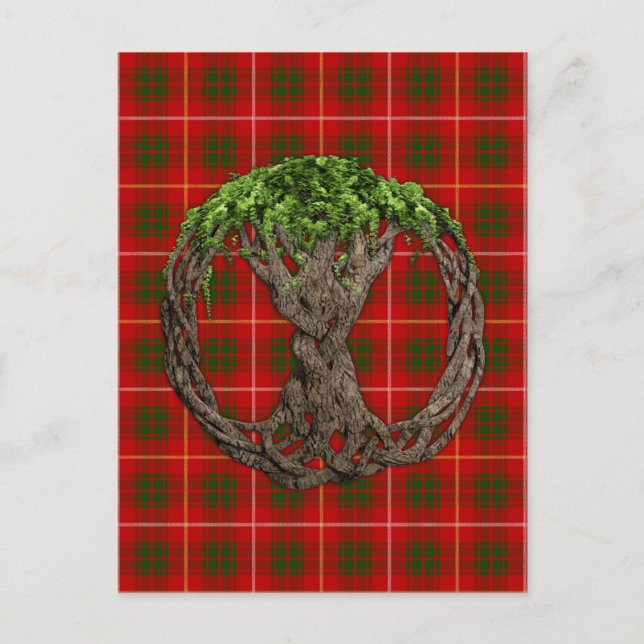 Postal Clan Bruce Tartán Y Árbol Celta De La Vida (Anverso)