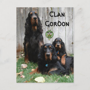 Postal Clan Gordon, Gordon Setter Generations Postcard