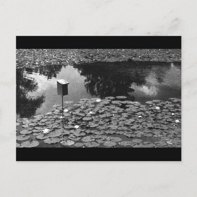 Postal Claridad (Anverso)