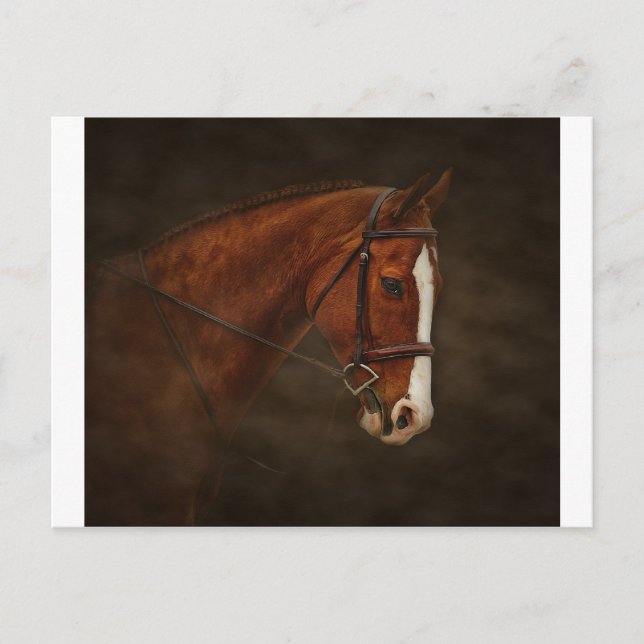 Postal Clásico (Anverso)