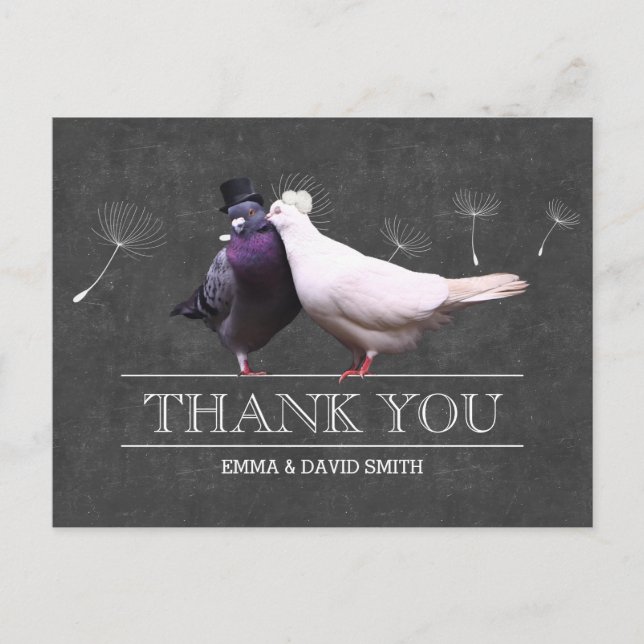 Postal Classy Chalkboard Sr. y Sra. Birds Gracias (Anverso)