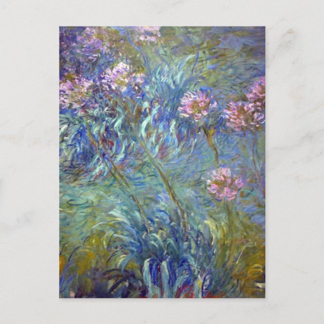 Postal Claude Monet Agapanthus (Anverso)