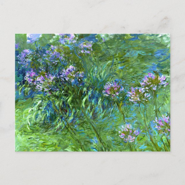Postal Claude Monet: Agapanthus (Anverso)