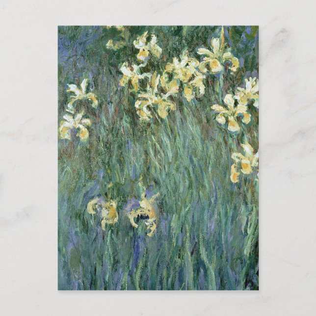 Postal Claude Monet el | los iris amarillos (Anverso)