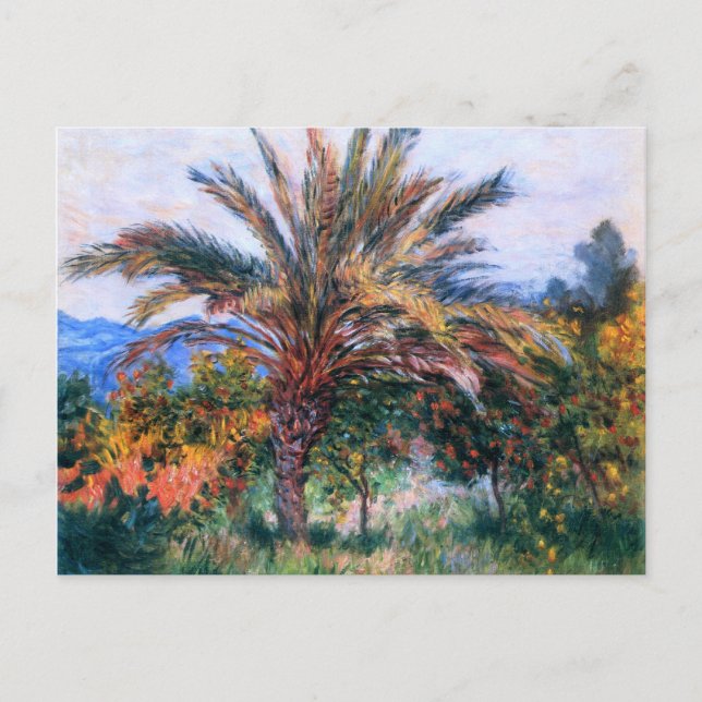 Postal Claude Monet: Palm Tree en Bordighera (Anverso)