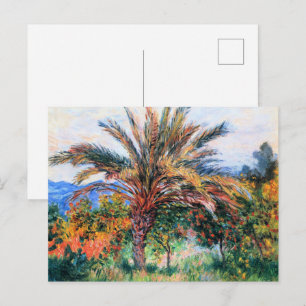 Postal Claude Monet, palmera en Bordighera,