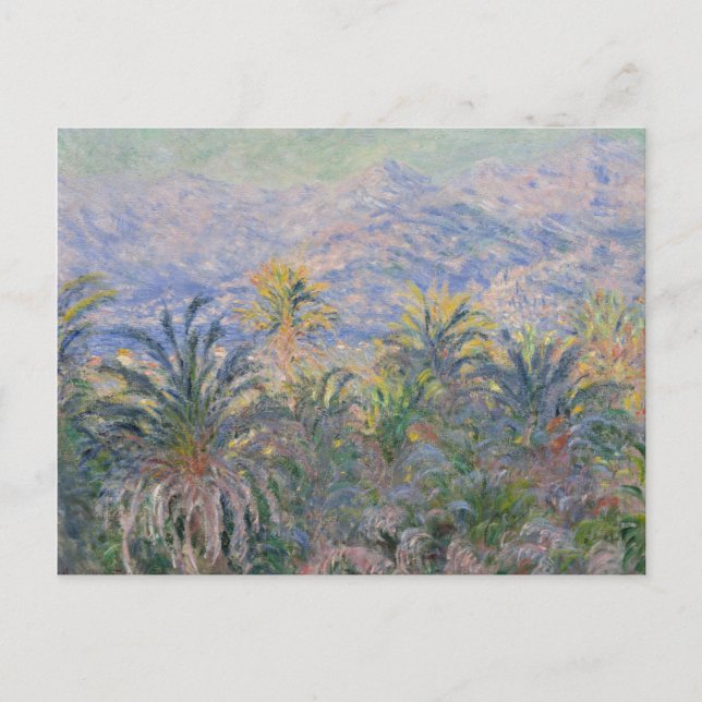 Postal Claude Monet | Palmeras de Bordighera (Anverso)