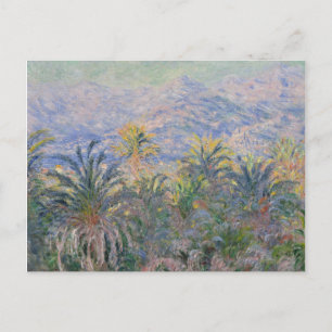 Postal Claude Monet   Palmeras de Bordighera