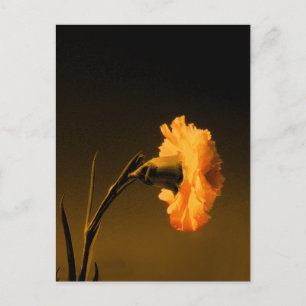 Postal clavel 2