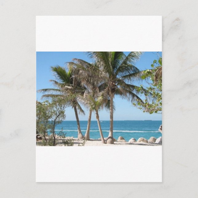 Postal Claves de Florida (Anverso)