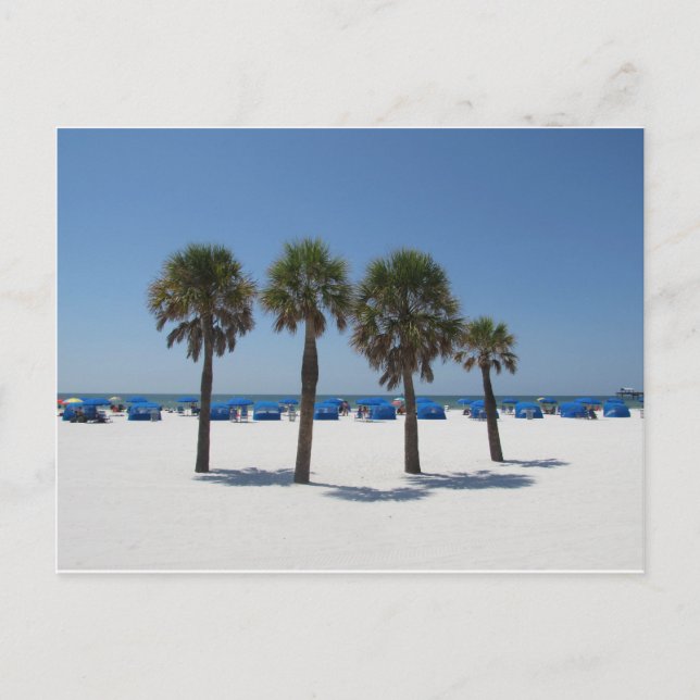 Postal Clearwater Beach FL (Anverso)