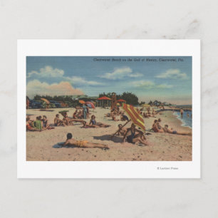 Postal Clearwater, FL - Sunbathers on Clearwater Beach