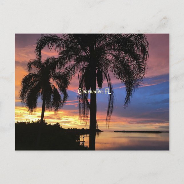 Postal Clearwater, Florida (Anverso)
