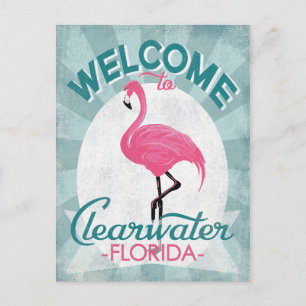 Postal Clearwater Florida Flamenco Rosa Retro