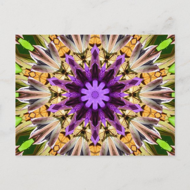 POSTAL CLEMATIS (Anverso)