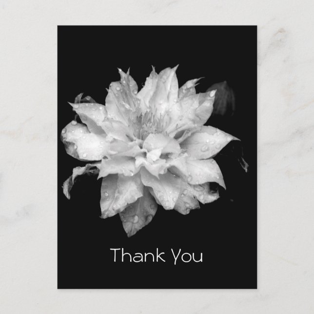 Postal Clematis 3a Memorial Sympathy Gracias Postcard (Anverso)