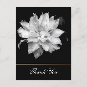 Postal Clematis 3c Floral B&W Photo Sympathy Gracias