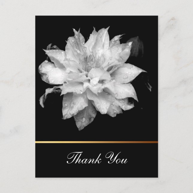 Postal Clematis 3c Floral B&W Photo Sympathy Gracias (Anverso)