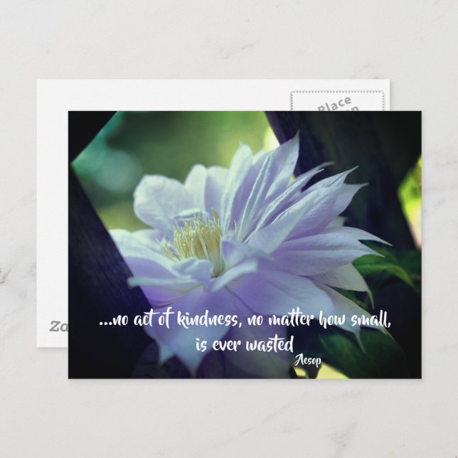 Postal Clematis Flor Amabilidad Cita Inspiradora  (Anverso / Reverso)