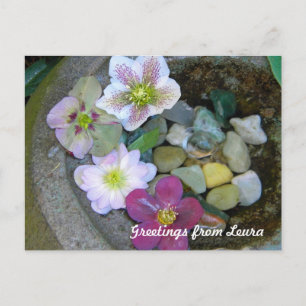 Postal Clematis Postcard